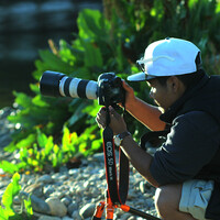 Profile picture for Zaira Aleman