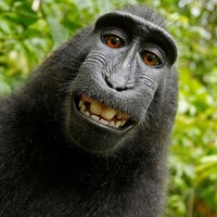 Profile picture for Juan Del Pueblo