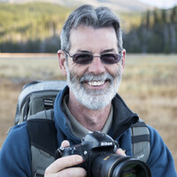 Profile picture for Steve Giardini
