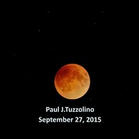 Profile picture for Paul Tuzzolino