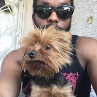 Profile picture for Yoshi Hogan