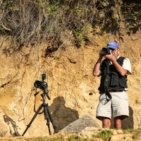 Profile picture for Peter Mayes