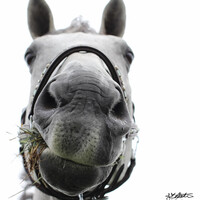 Profile picture for Jeff Bellantine