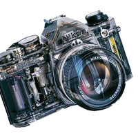 Profile picture for Yan Shapa