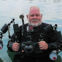 Profile picture for Tim White