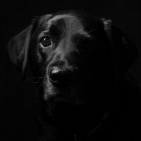 Profile picture for Paul Saxby