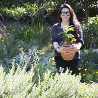 Profile picture for ophelia Chong