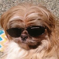 Profile picture for Graham Swayze