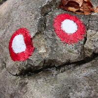 Profile picture for ohnOMon Photo