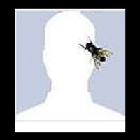 Profile picture for Ben Bene