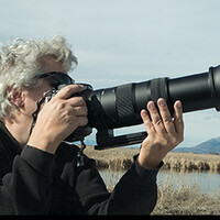 Profile picture for Francesca Scalpi
