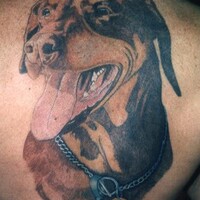 Profile picture for jean pierre (pete) guaron