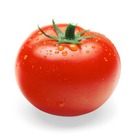 Profile picture for Red Kamatis