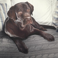 Profile picture for jevgeniy Vyazovoy