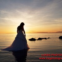 Profile picture for Kevin Wyllie