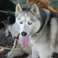 Profile picture for Jim Jordan