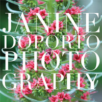Profile picture for Janine Doporto