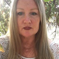 Profile picture for Shelley Evans