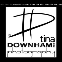 Profile picture for Tina Downham