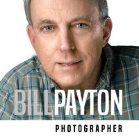 Profile picture for Bill Payton