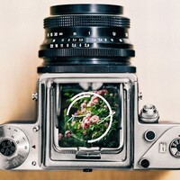 Profile picture for Kurt Liu