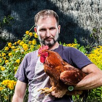 Profile picture for Krzysztof Werema