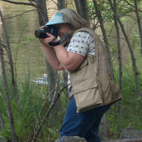 Profile picture for Debra Hausman