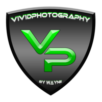 Profile picture for wayne riser