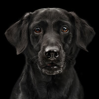 Profile picture for Robin Edwards