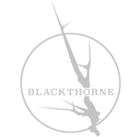 Profile picture for Blackthorne Studio