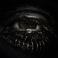 Profile picture for Ross Nicholson