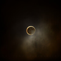 Profile picture for Ron Pogue