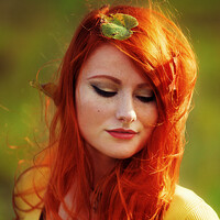 Profile picture for Crimson Photography