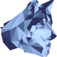 Profile picture for D Cassidy