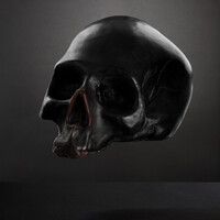 Profile picture for Simon Whitehead
