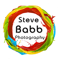 Profile picture for Steve Babb