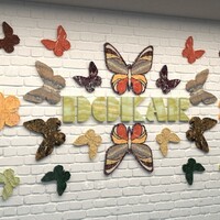 Profile picture for Dokar Stone