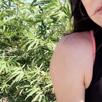 Profile picture for Kristen Angelo