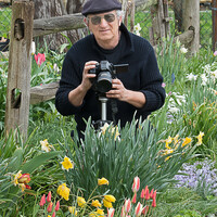 Profile picture for Moreno Tagliapietra