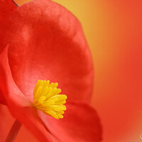 Profile picture for Sandi Olkkola