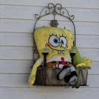 Profile picture for Tom Clemens