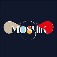 Profile picture for Moshik Ashkenazi