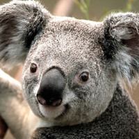 Profile picture for Kate Pas