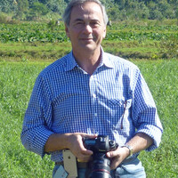 Profile picture for George Diamantis