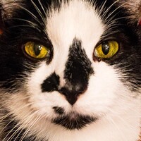Profile picture for Jimmy Barber