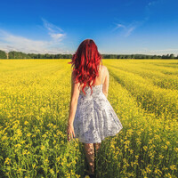 Profile picture for Crystal Provencher