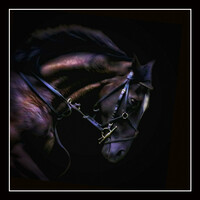 Profile picture for Jim McConnell