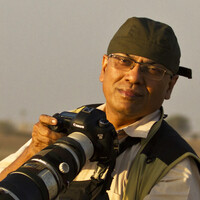 Profile picture for Tanmoy Das