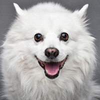 Profile picture for James DePietro