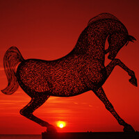 Profile picture for Haf Tone